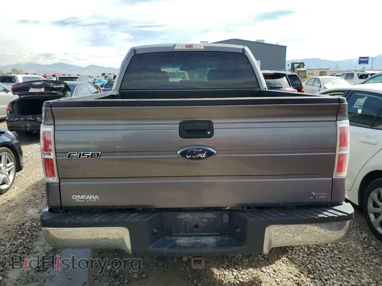 2010 FORD F-150 - VIN: 1FTFW1EV3AKB58597 - Фото 6