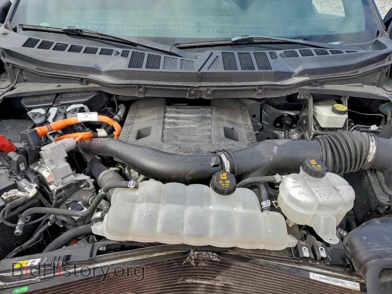 2021 FORD F-150 - VIN: 1FTFW1ED2MFC69839 - Фото 12