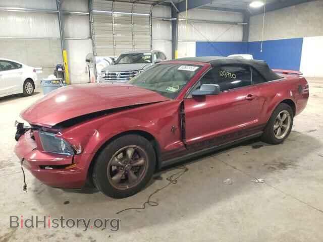 Photo 1ZVHT84N165122082 - FORD ALL Models 2006