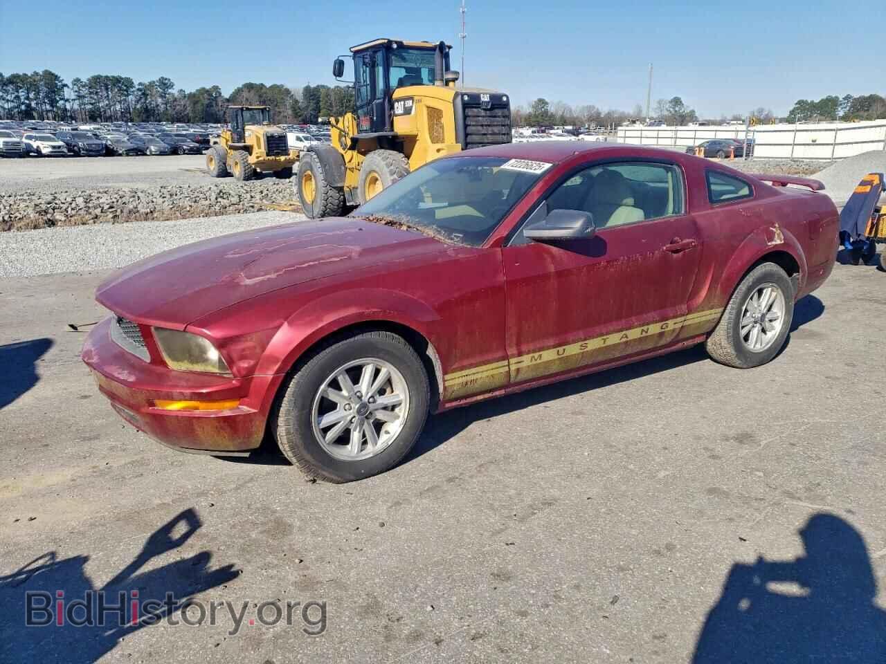 Photo 1ZVFT80N165236192 - FORD ALL Models 2006