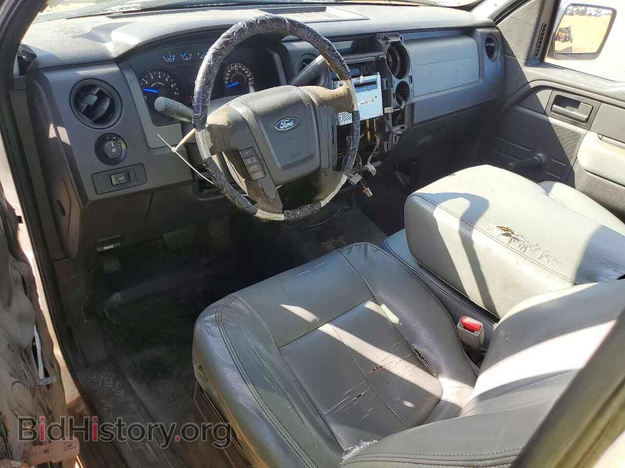2013 FORD F150 - VIN: 1FTMF1CM9DKE89299 - Фото 8