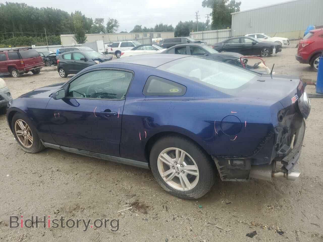 2011 FORD ALL Models - VIN: 1ZVBP8AM8B5135816 - Фото 2