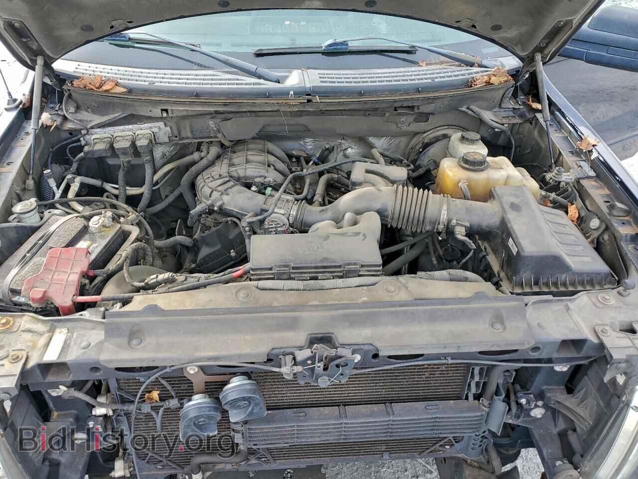 2013 FORD All Models - VIN: 1FTMF1CM6DKF55601 - Photo 11