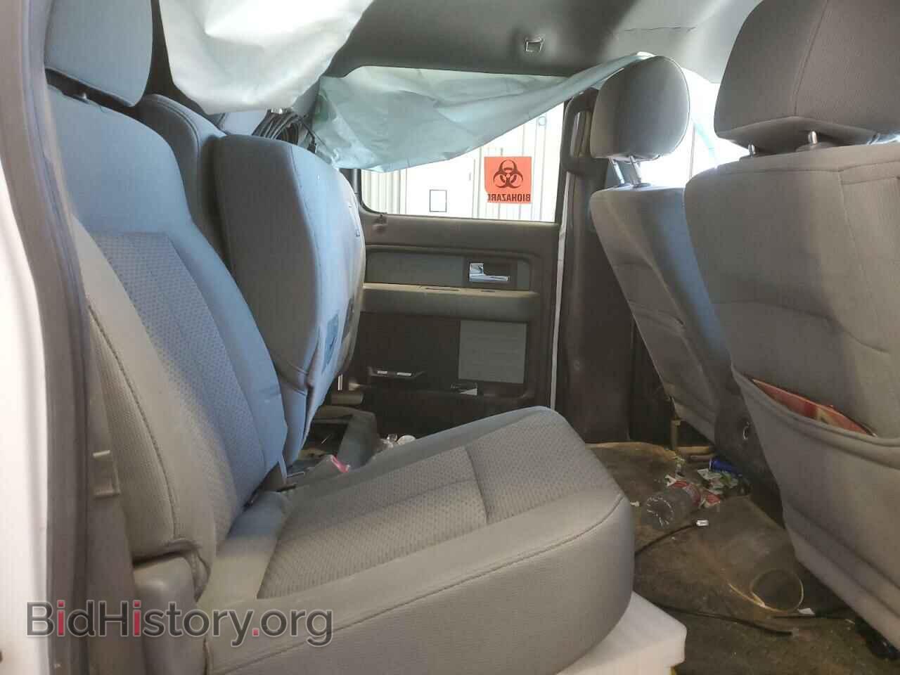 2012 FORD F-150 - VIN: 1FTFW1EF0CFC25421 - Фото 10