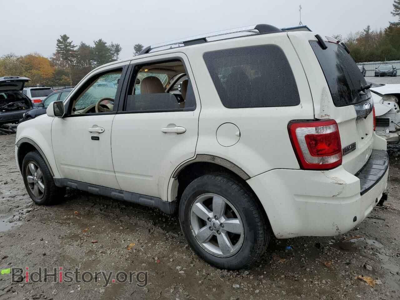 2011 FORD ESCAPE - VIN: 1FMCU9EG4BKB08393 - Фото 2