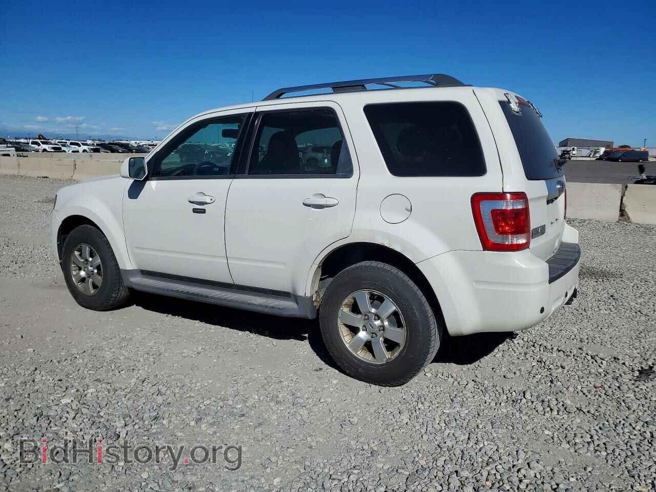 2010 FORD ESCAPE - VIN: 1FMCU9EG1AKD38679 - Фото 2