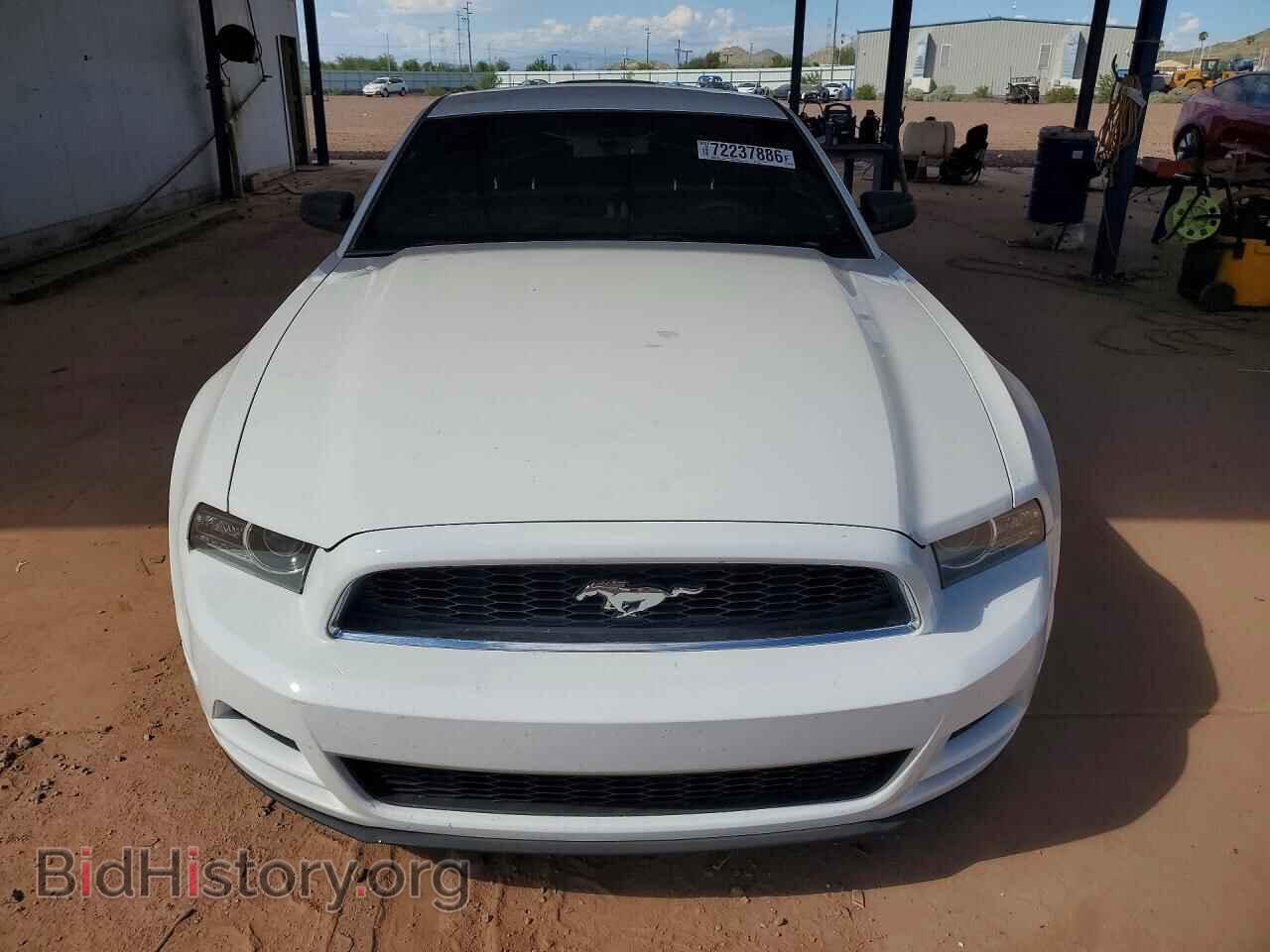 2014 FORD MUSTANG - VIN: 1ZVBP8AM6E5205205 - Photo 5