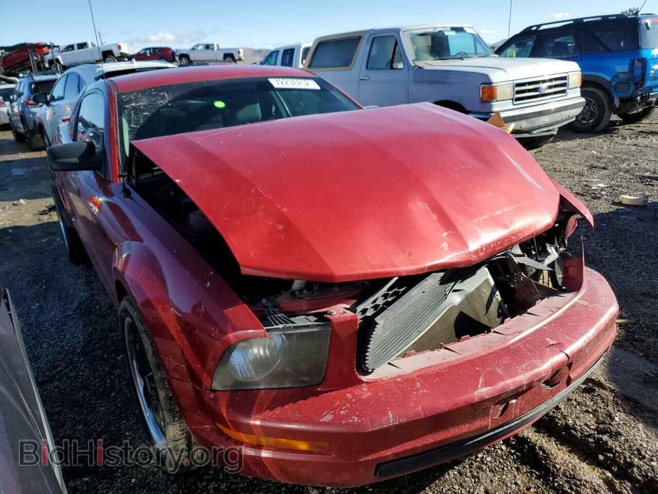 2008 FORD MUSTANG - VIN: 1ZVHT80N985208894 - Фото 4