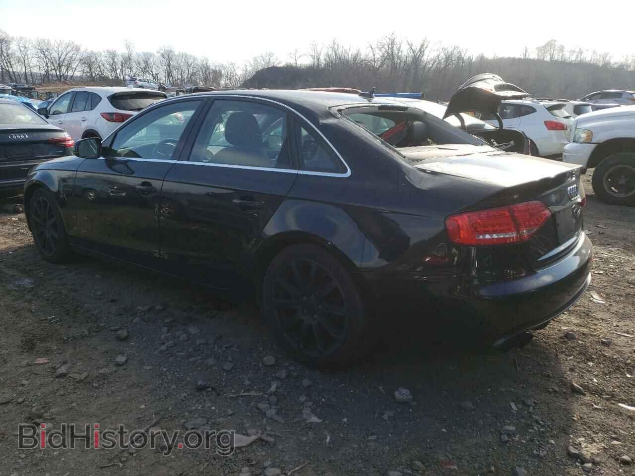 2011 AUDI A4 - VIN: WAUHFAFL1BN038588 - Фото 2