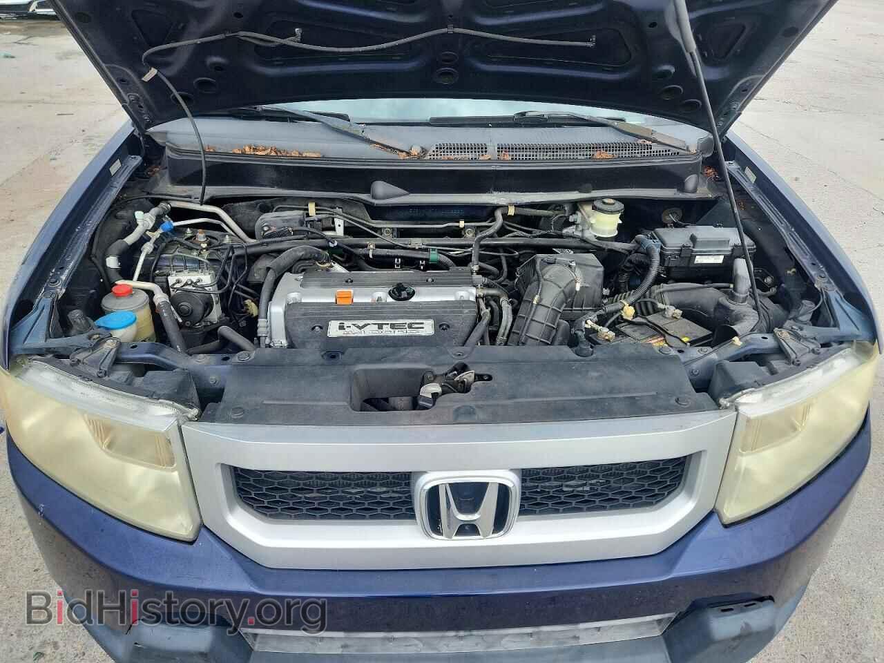 2010 HONDA ELEMENT - VIN: 5J6YH1H71AL002269 - Фото 11