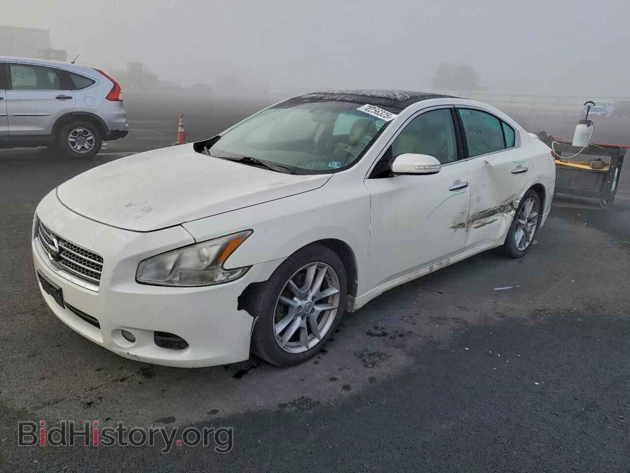 Photo 1N4AA5AP3AC842072 - NISSAN MAXIMA 2010