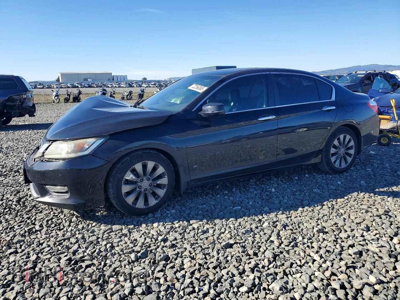 Photo 1HGCR2F80DA025445 - HONDA ACCORD 2013