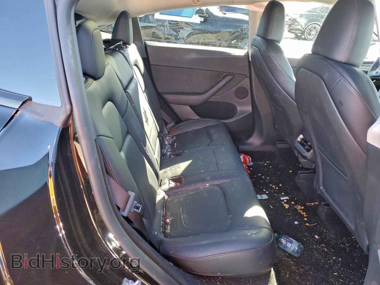 2024 TESLA MODEL Y - VIN: 7SAYGDEE7RF164891 - Фото 10