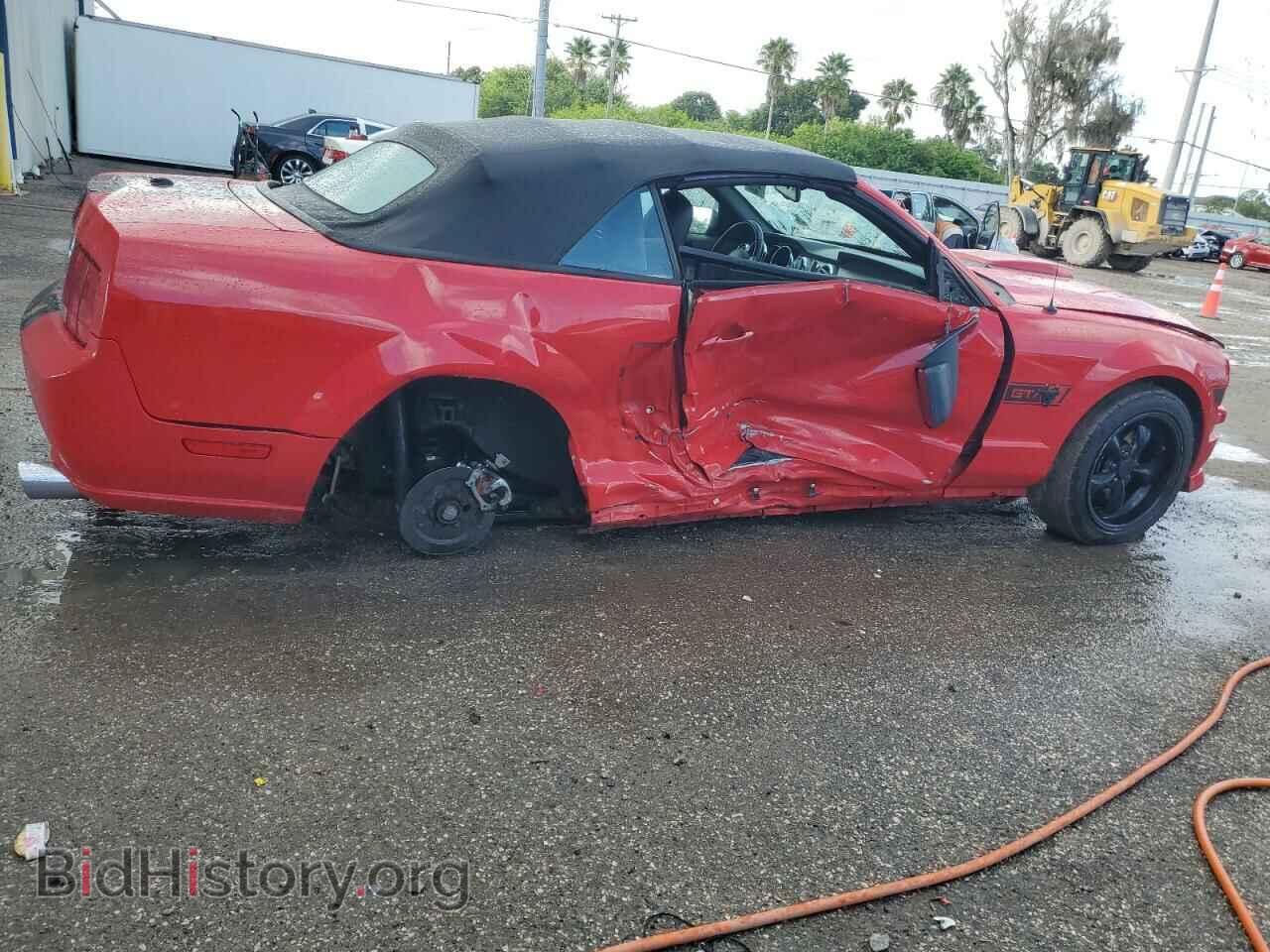2009 FORD MUSTANG - VIN: 1ZVHT85H695111656 - Фото 3