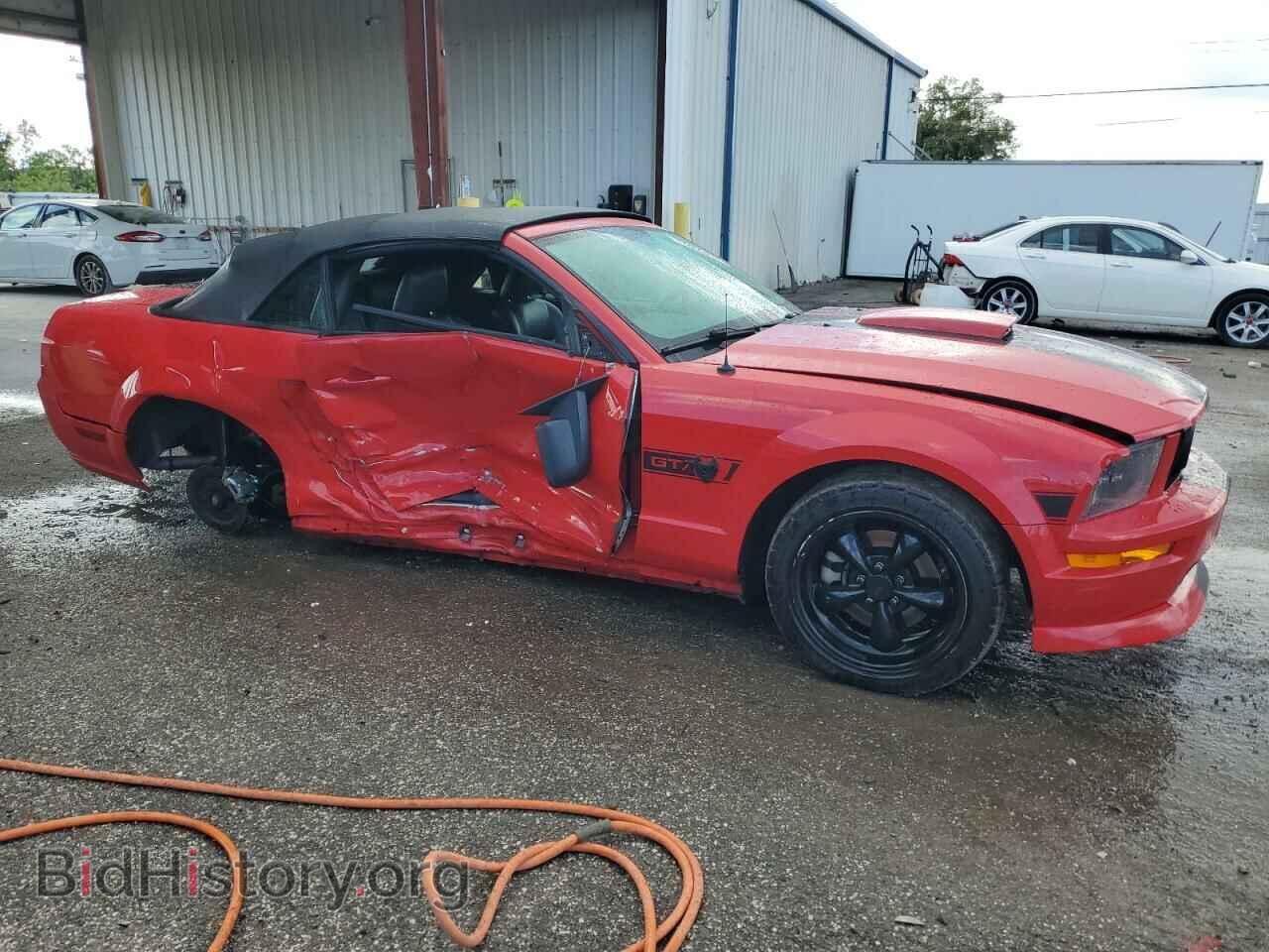 2009 FORD MUSTANG - VIN: 1ZVHT85H695111656 - Фото 4