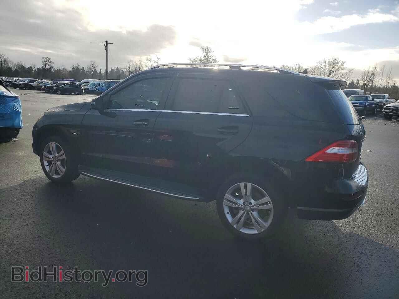 2012 MERCEDES-BENZ M-CLASS - VIN: 4JGDA5HB2CA066495 - Фото 2