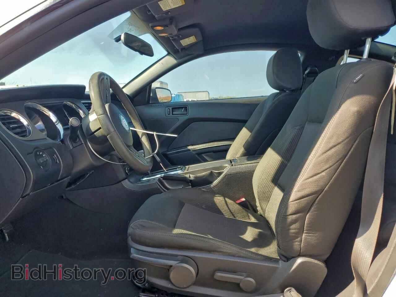 2010 FORD MUSTANG - VIN: 1ZVBP8CH0A5152804 - Фото 7