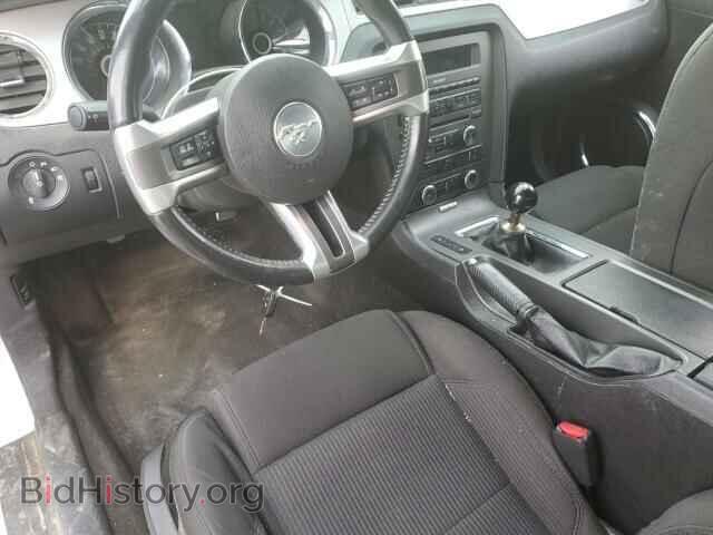 2014 FORD MUSTANG - VIN: 1ZVBP8CF1E5301807 - Фото 8
