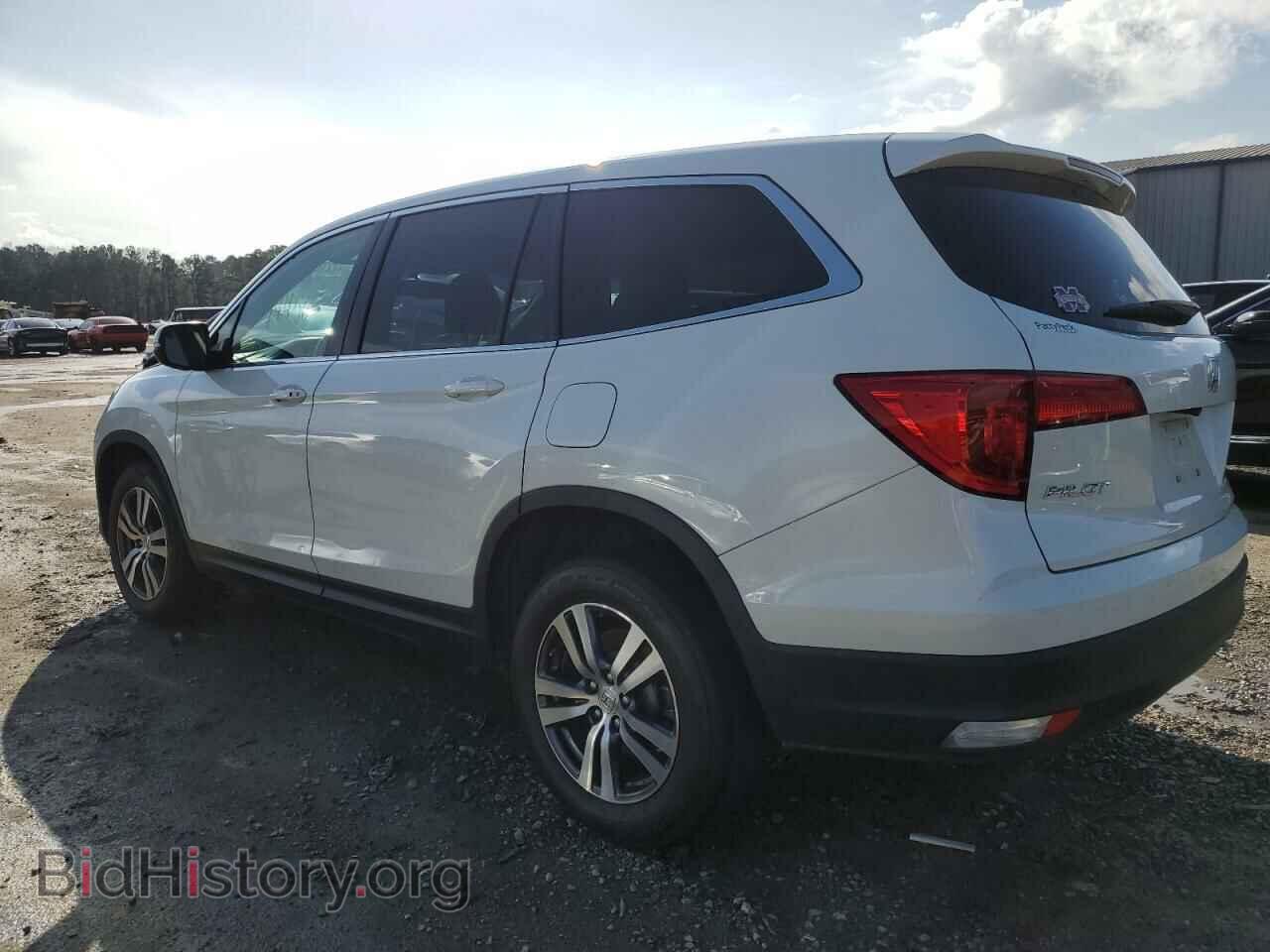 2017 HONDA PILOT - VIN: 5FNYF5H57HB036070 - Фото 2