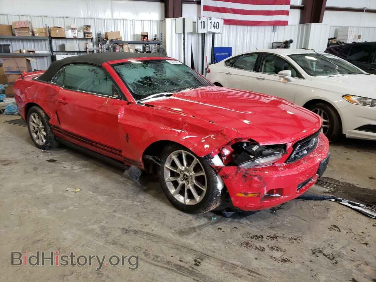 2010 FORD MUSTANG - VIN: 1ZVBP8EN9A5149659 - Фото 4