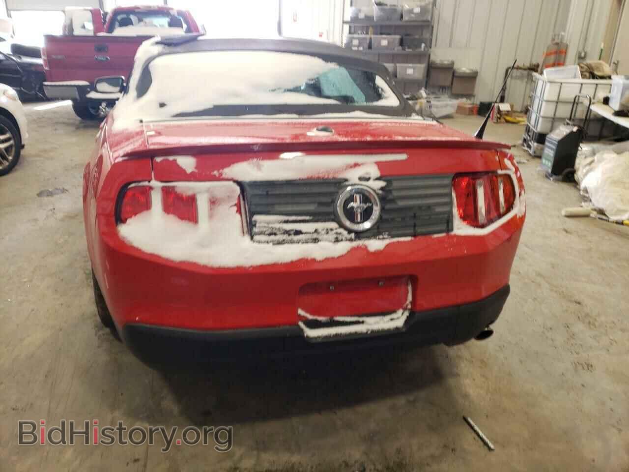 2010 FORD MUSTANG - VIN: 1ZVBP8EN9A5149659 - Фото 6
