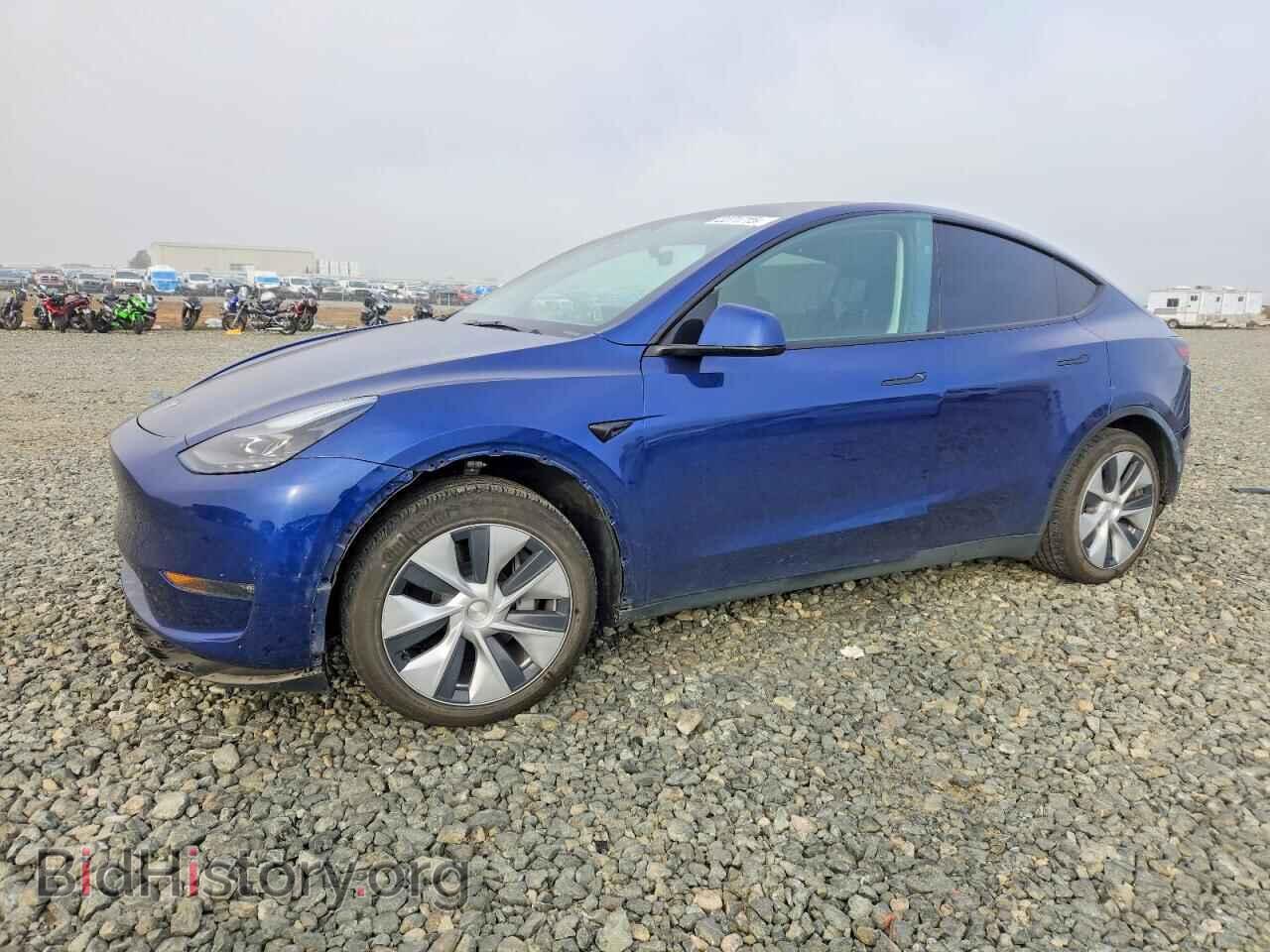 Фотография 7SAYGDEE2RF981833 - TESLA MODEL Y 2024