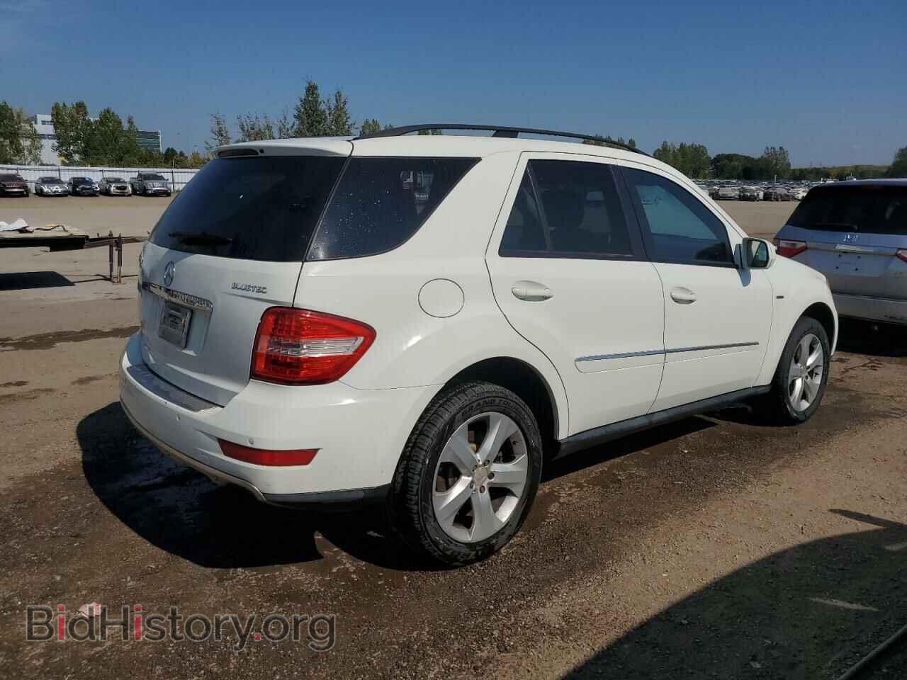 2009 MERCEDES-BENZ M-CLASS - VIN: 4JGBB25E29A527821 - Фото 3