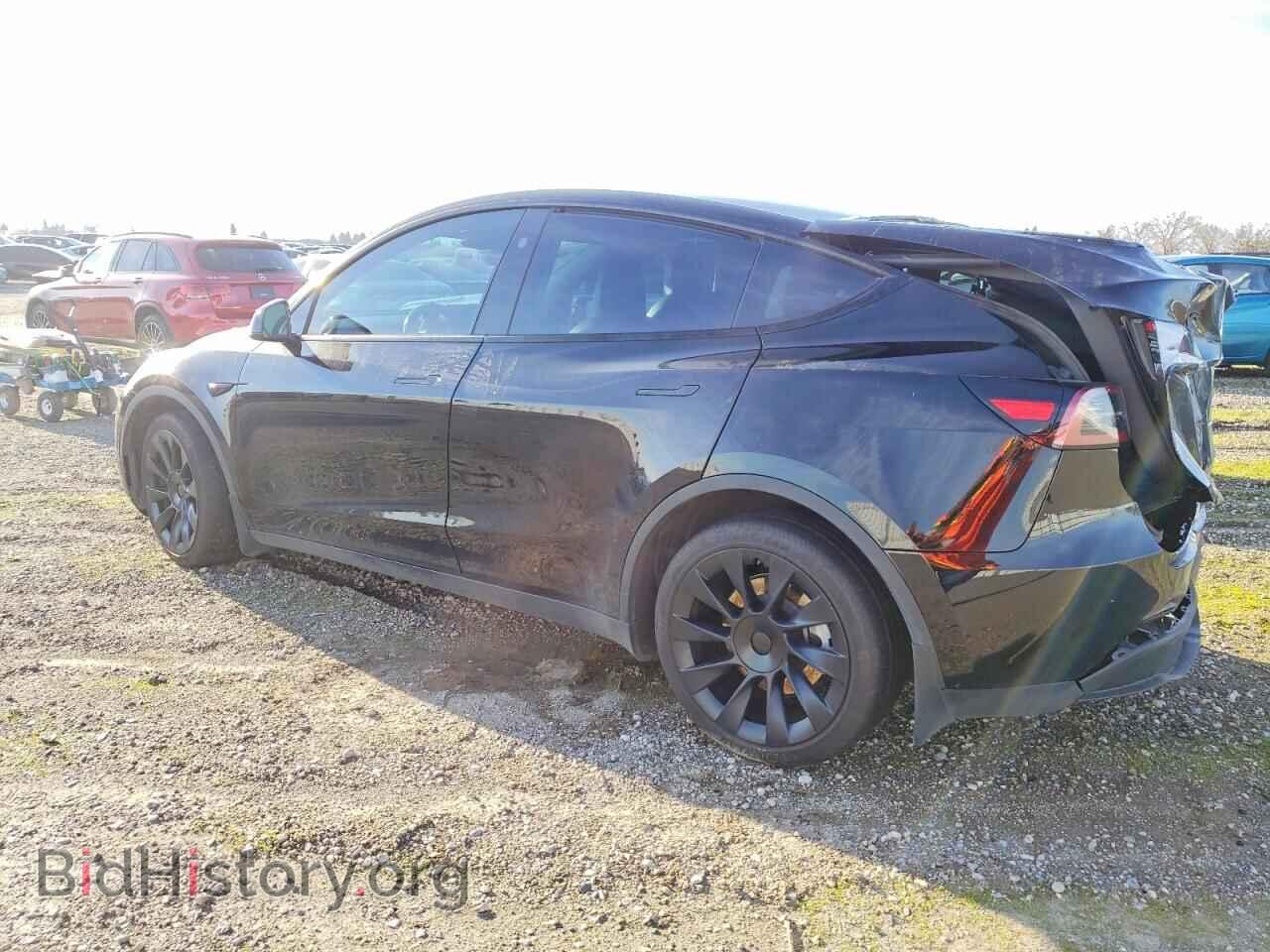 2024 TESLA MODEL Y - VIN: 7SAYGDEE9RF070141 - Фото 2