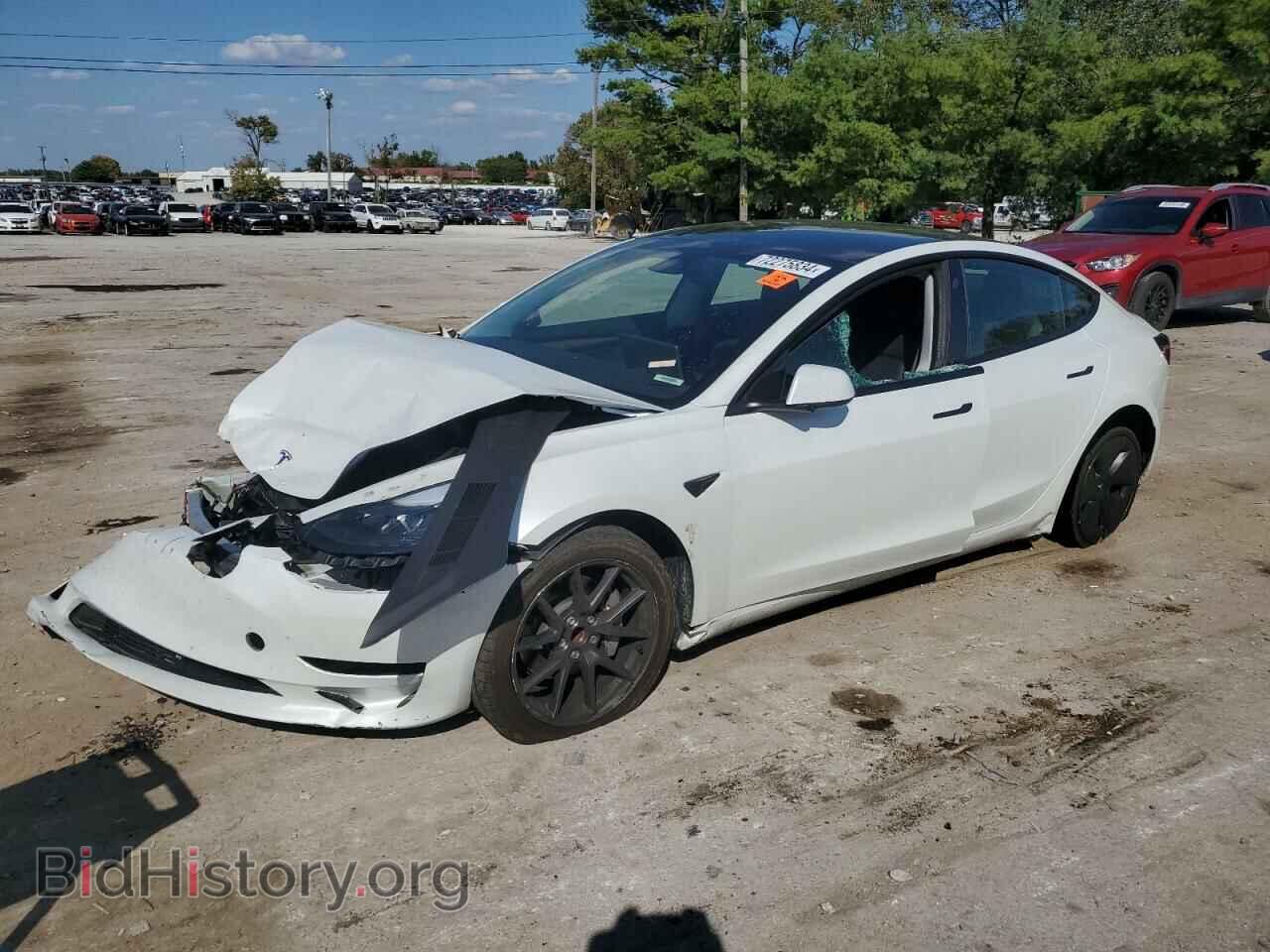 Photo 5YJ3E1EA8PF606261 - TESLA MODEL 3 2023
