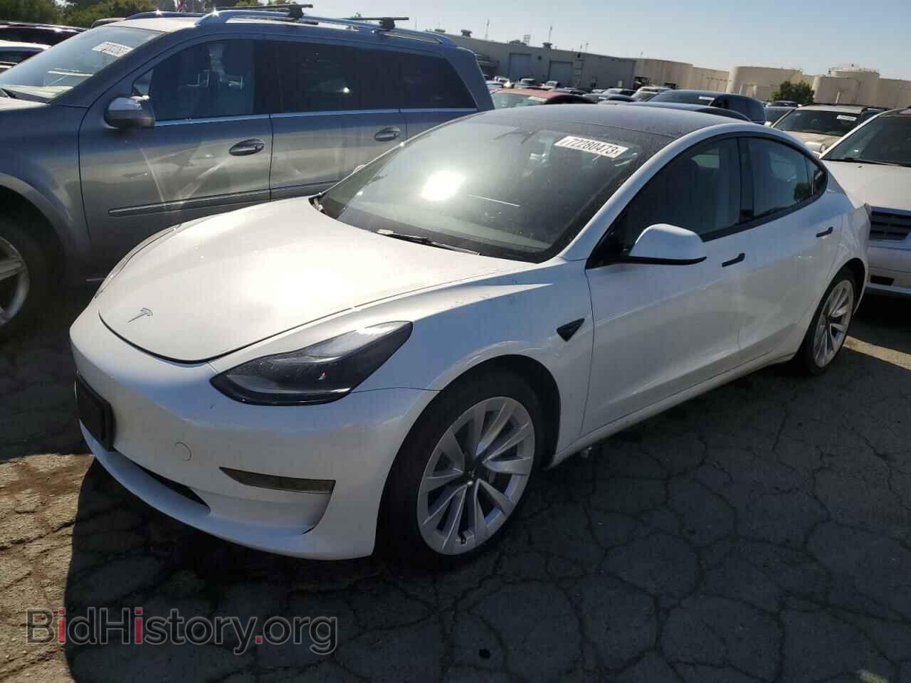 Photo 5YJ3E1EA6PF545153 - TESLA MODEL 3 2023