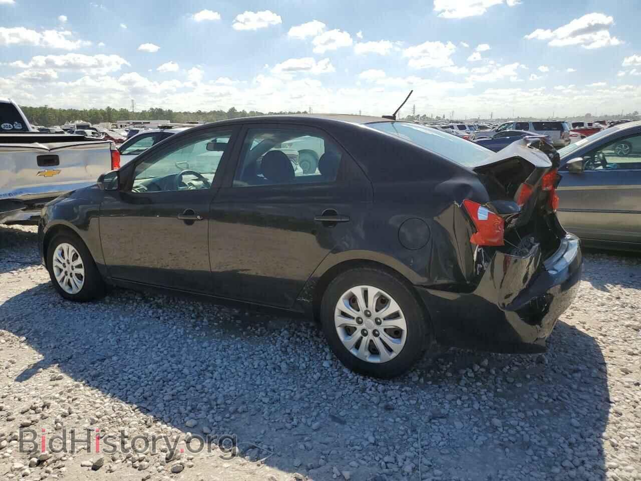 2011 KIA FORTE - VIN: KNAFU4A26B5389669 - Фото 2