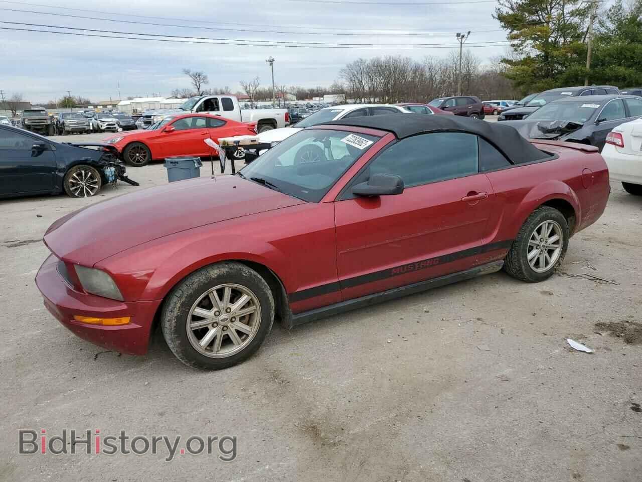 Photo 1ZVFT84N775262307 - FORD MUSTANG 2007