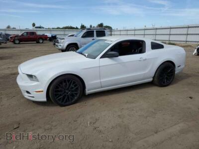2014 Ford ALL MODELS Mustang, white — VIN 1ZVBP8AM3E5238436, Copart