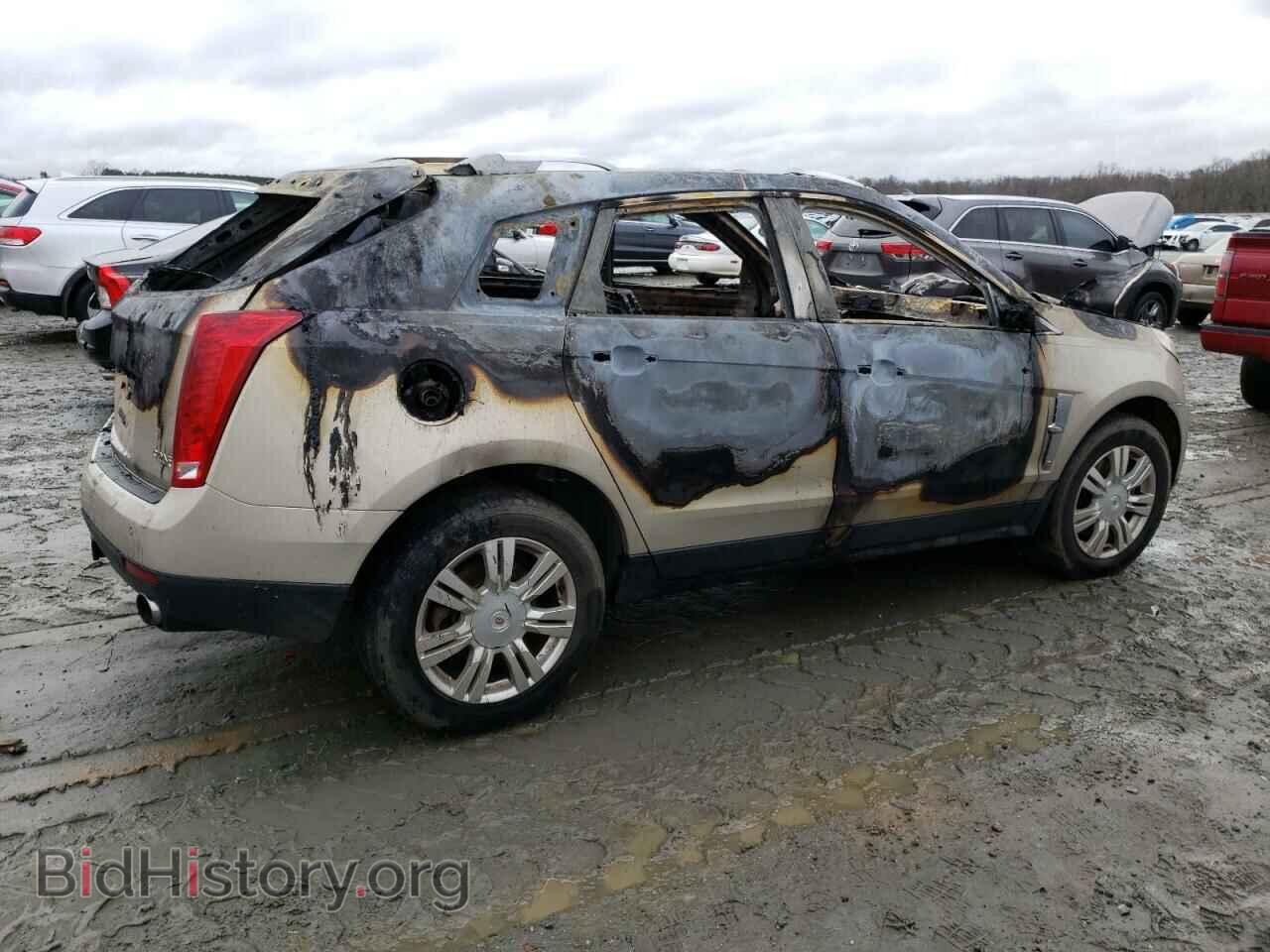 2010 CADILLAC SRX - VIN: 3GYFNAEY0AS639984 - Фото 3