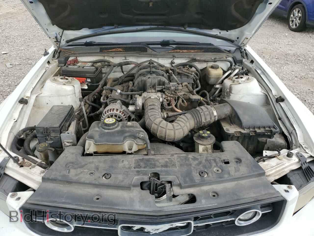 2007 FORD ALL Models - VIN: 1ZVFT84N475262569 - Фото 11