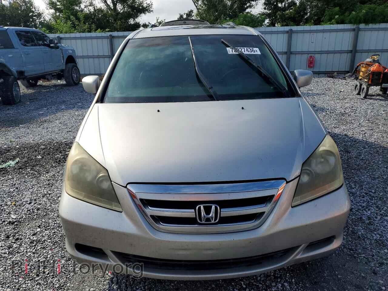 2007 HONDA ODYSSEY - VIN: 5FNRL38757B439238 - Фото 5