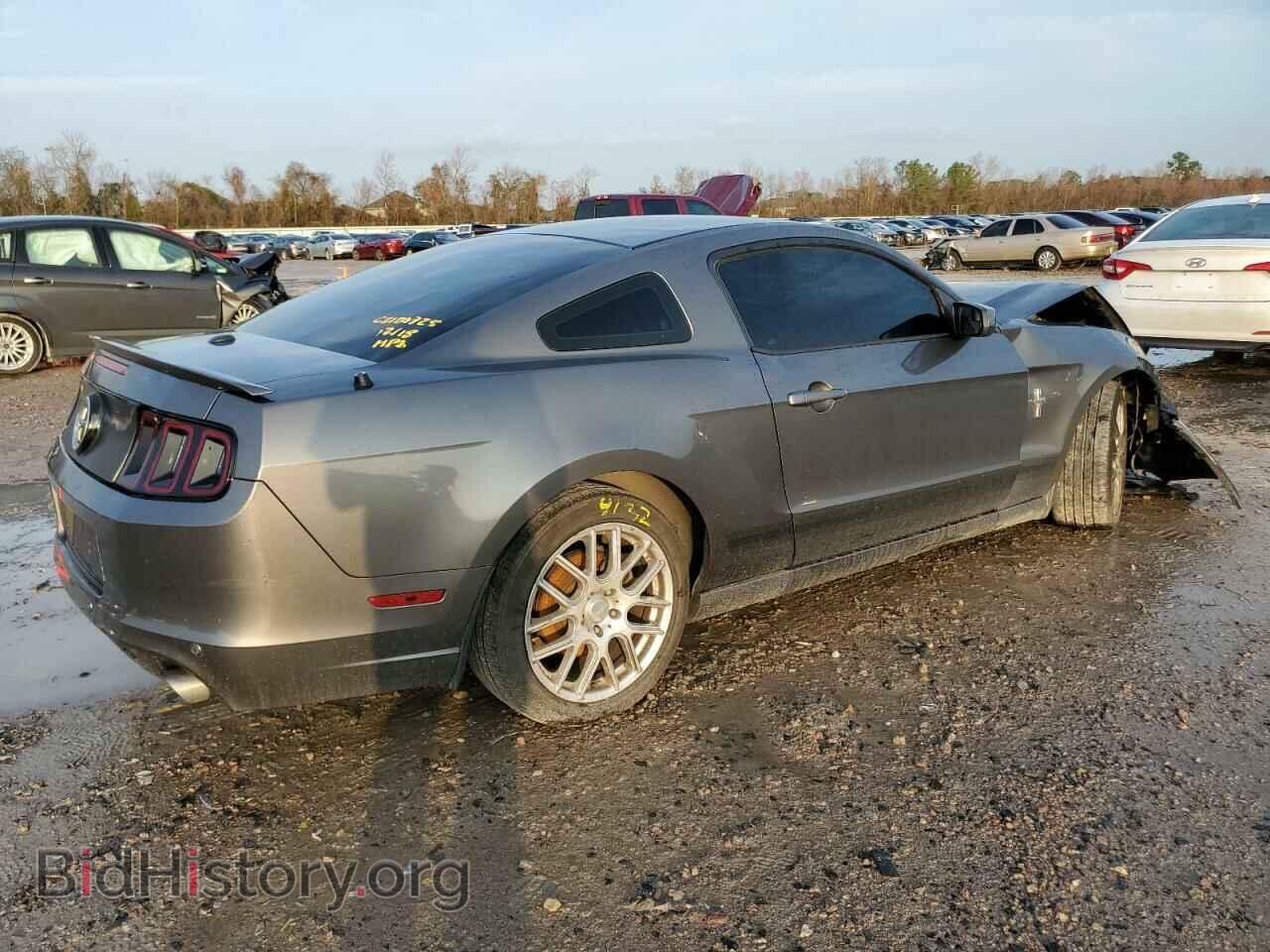 2013 FORD MUSTANG - VIN: 1ZVBP8AM2D5254738 - Фото 3