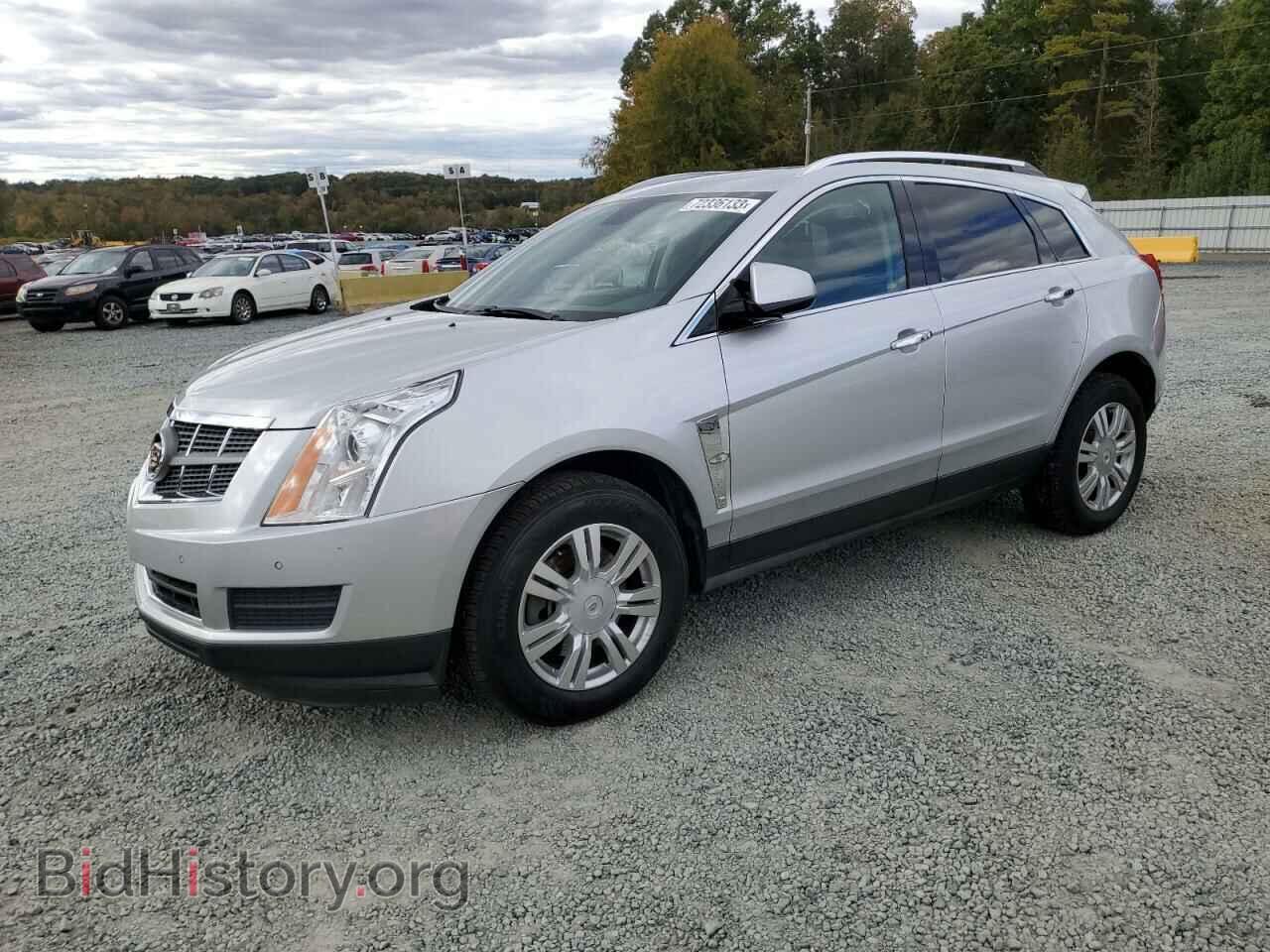 Фотография 3GYFNAEY9BS589331 - CADILLAC SRX 2011