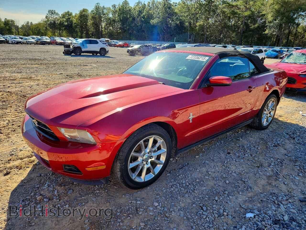 Photo 1ZVBP8EN6A5140563 - FORD ALL Models 2010
