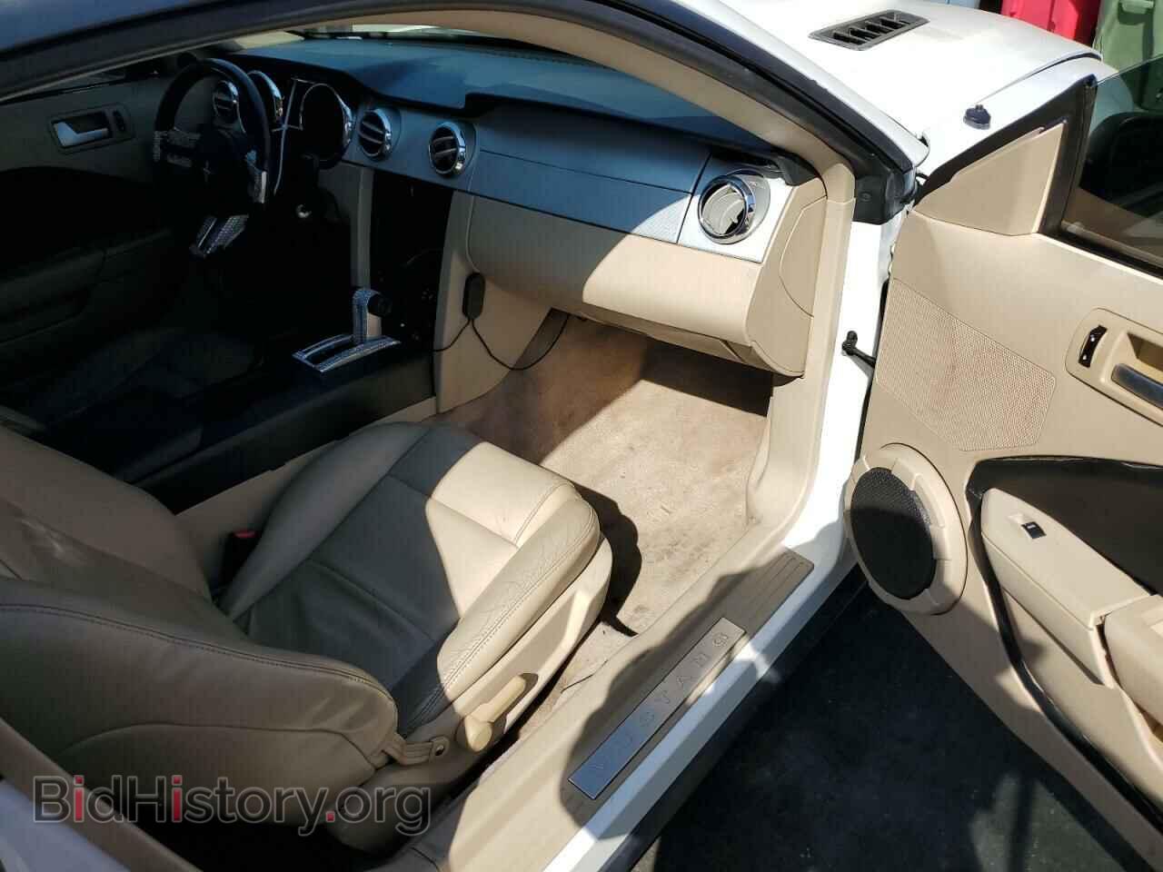 2006 FORD ALL Models - VIN: 1ZVFT80N865158607 - Photo 8