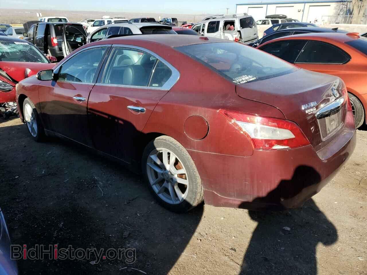 2010 NISSAN MAXIMA - VIN: 1N4AA5AP9AC865579 - Фото 2
