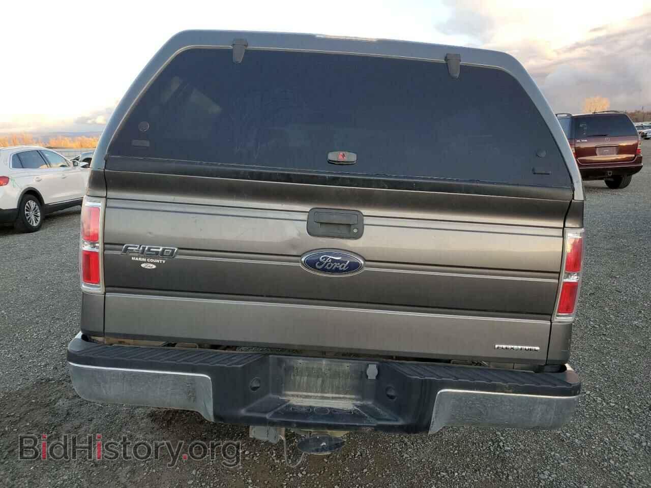 2014 FORD F150 - VIN: 1FTMF1CM2EFA16810 - Фото 6
