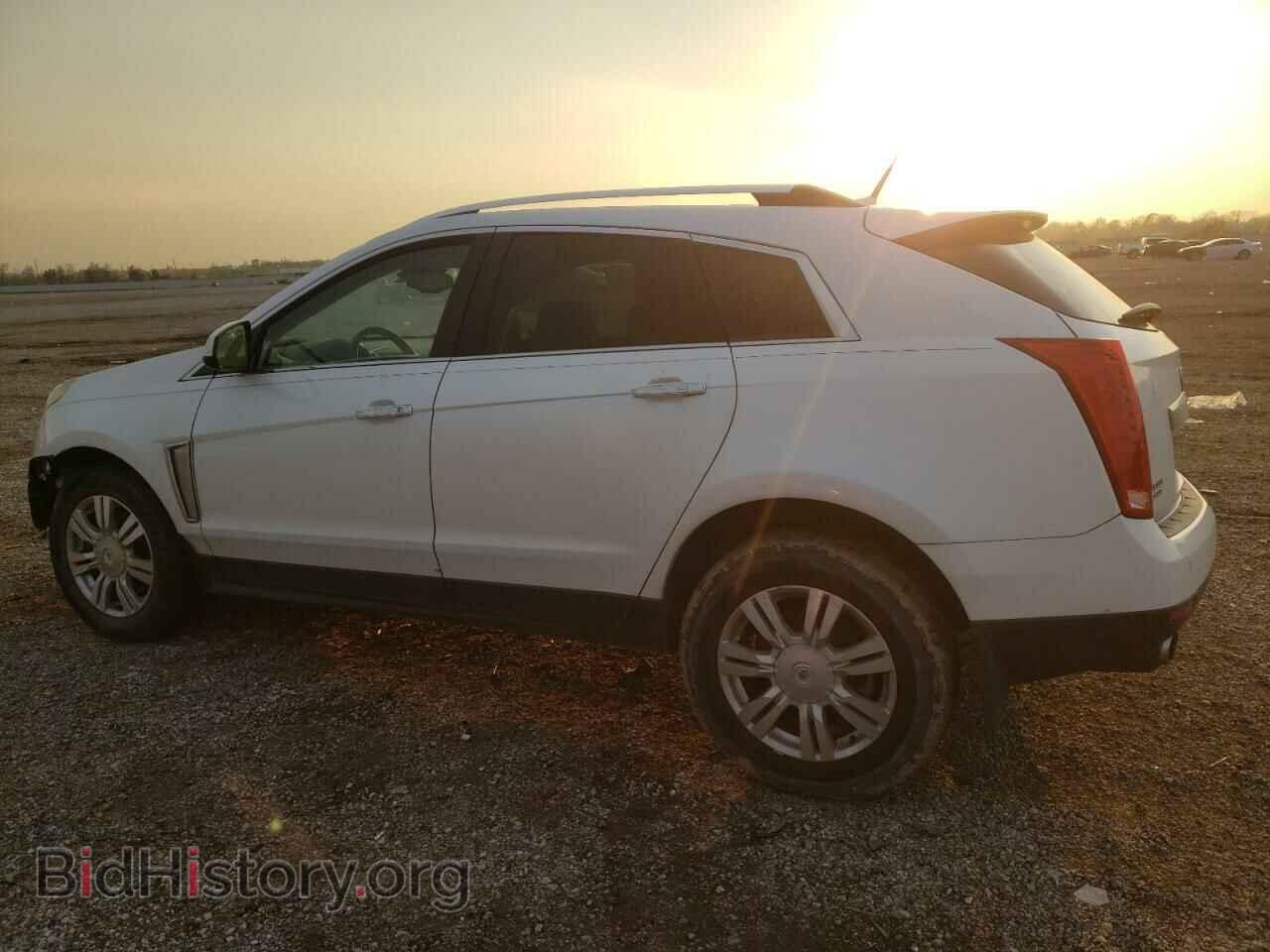 2013 CADILLAC SRX - VIN: 3GYFNCE34DS597999 - Фото 2