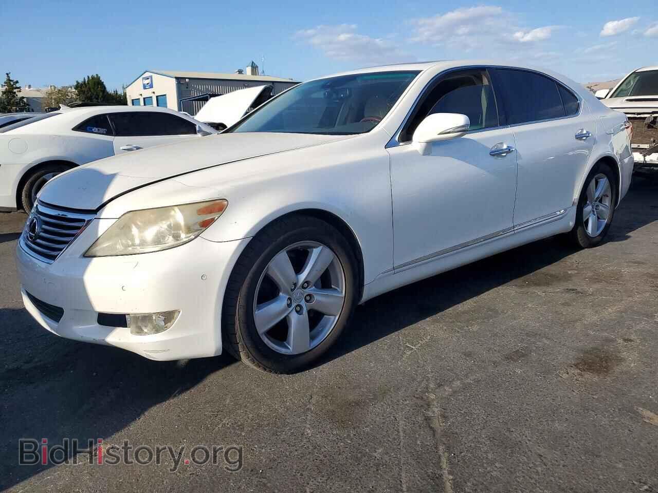 Фотография JTHGL5EF5B5043317 - LEXUS LS460 2011