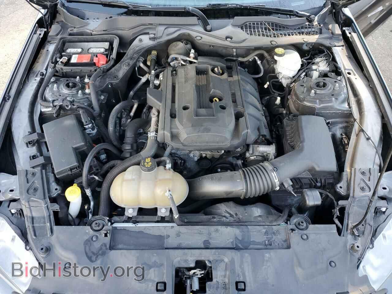 2019 FORD ALL Models - VIN: 1FA6P8TH1K5192854 - Фото 11