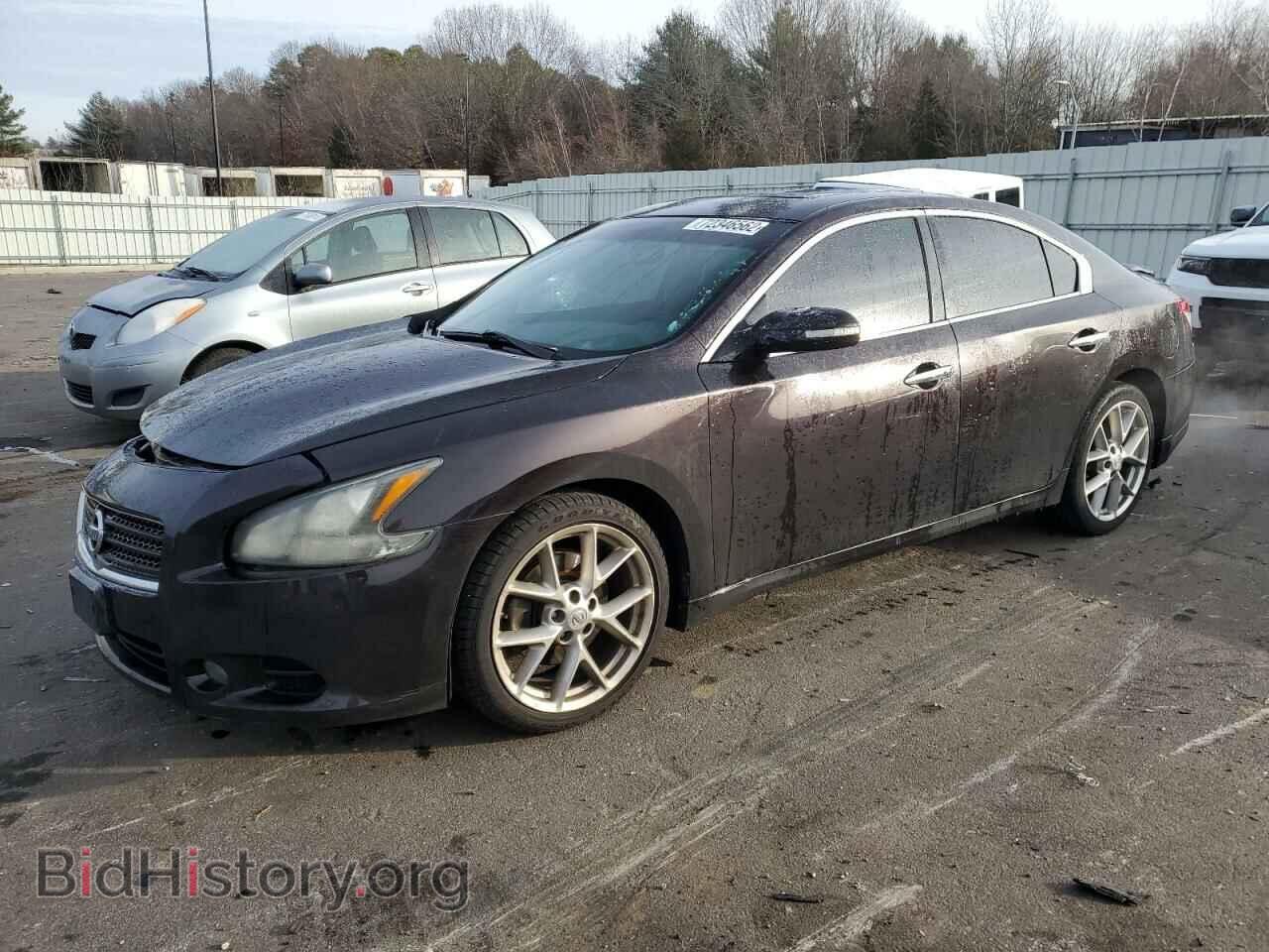 Фотография 1N4AA5AP9BC853126 - NISSAN MAXIMA 2011
