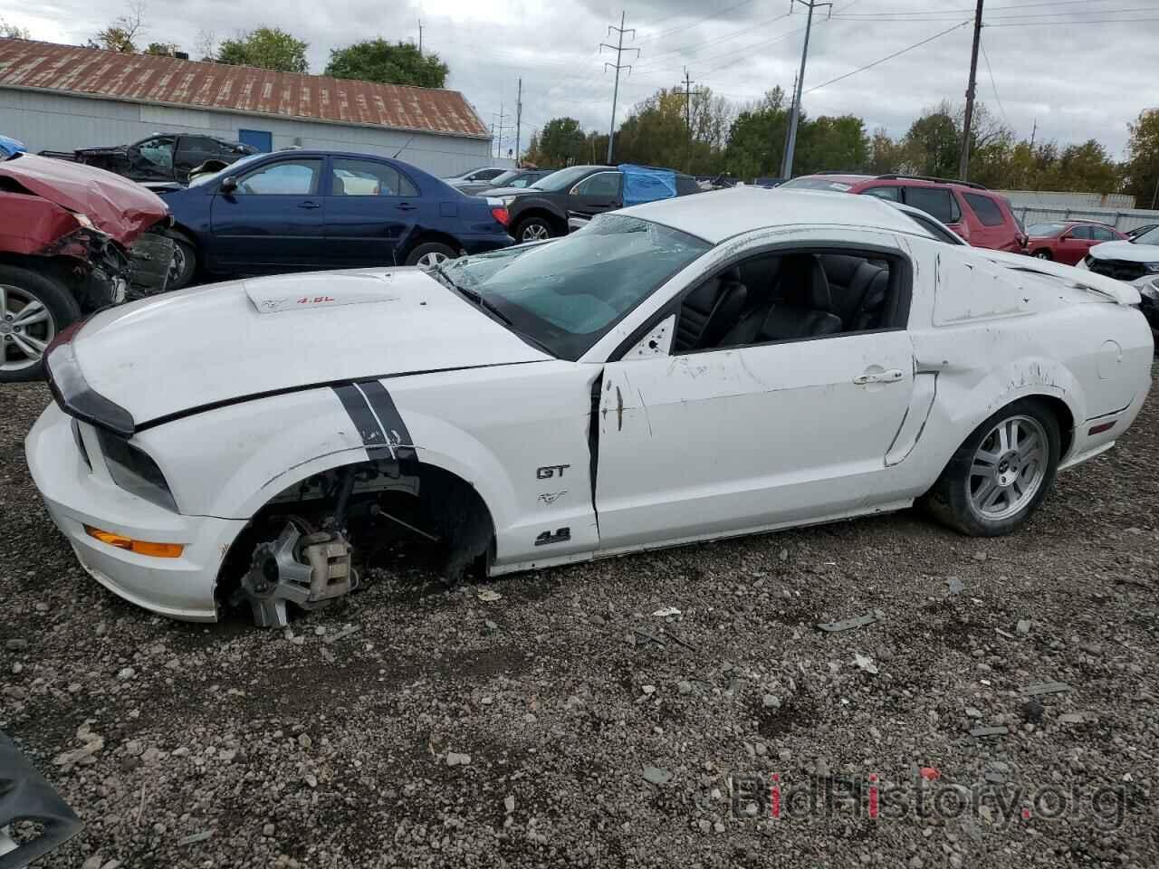 Photo 1ZVHT82H785135676 - FORD MUSTANG 2008