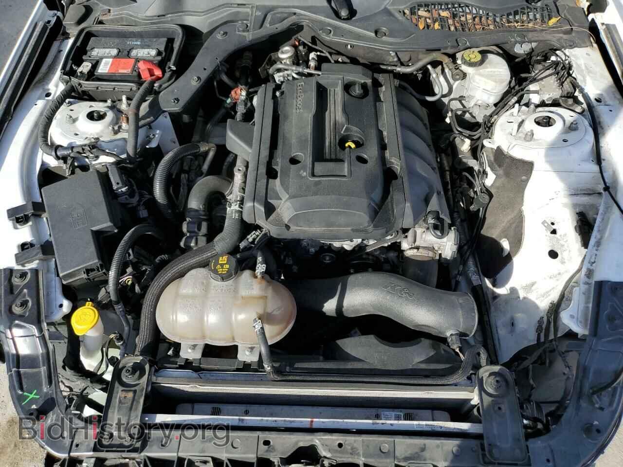 2019 FORD ALL Models - VIN: 1FA6P8TH2K5167204 - Фото 11