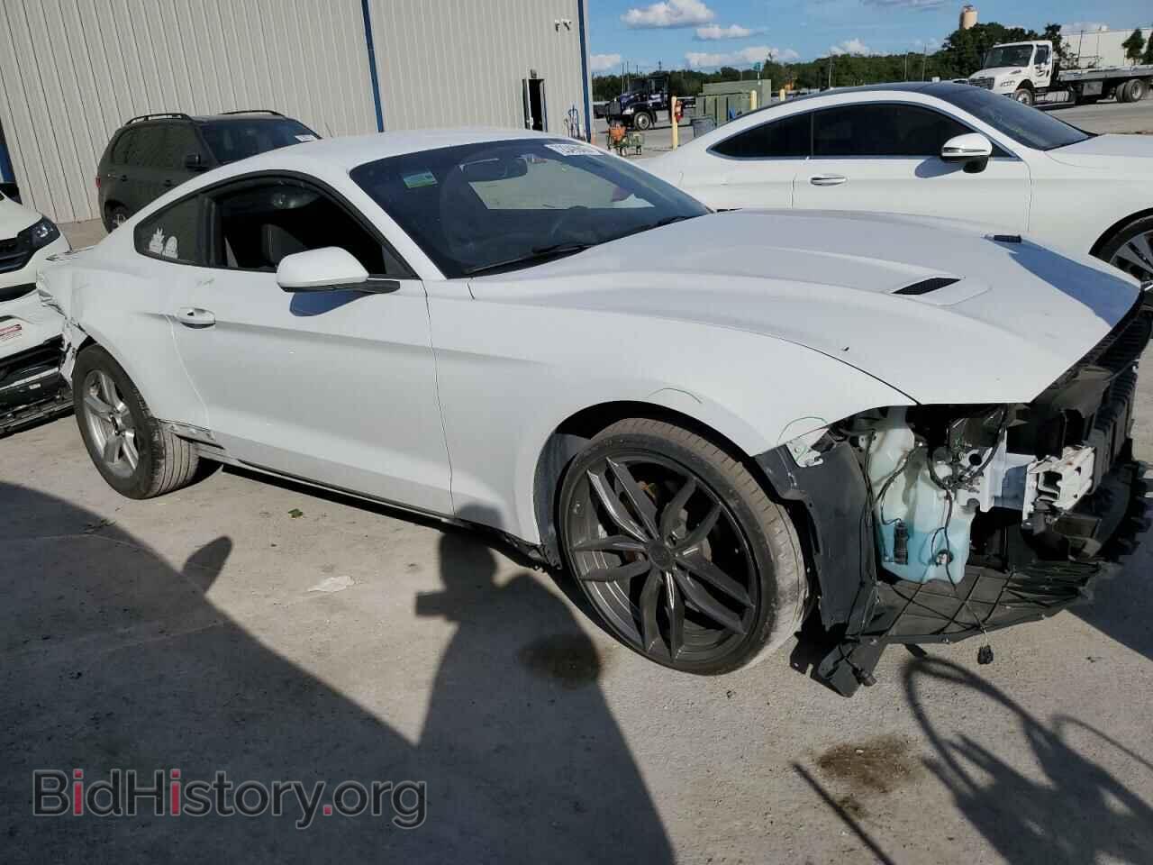2019 FORD ALL Models - VIN: 1FA6P8TH2K5167204 - Фото 4