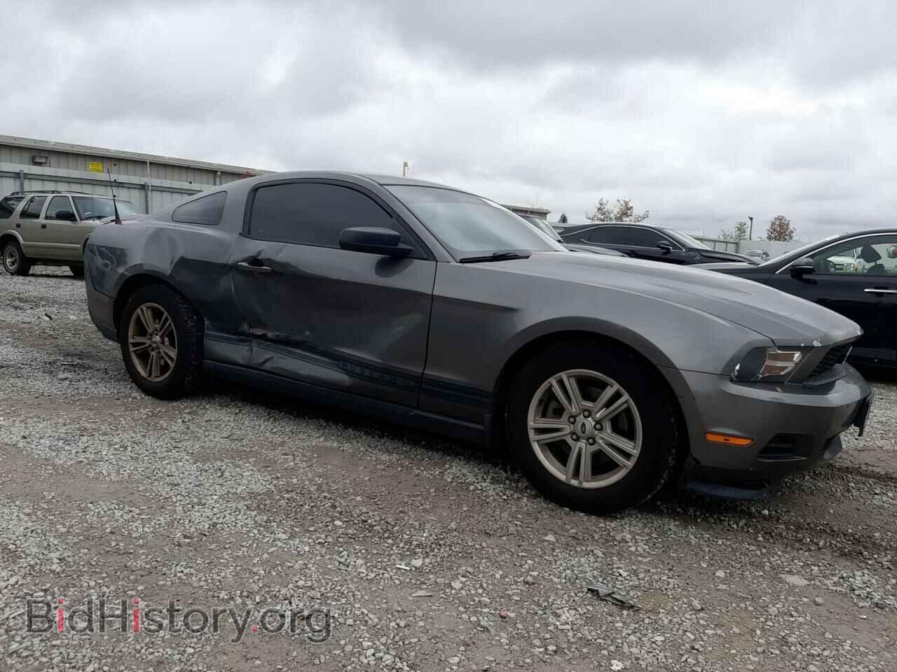 2011 FORD ALL Models - VIN: 1ZVBP8AM6B5132851 - Фото 4